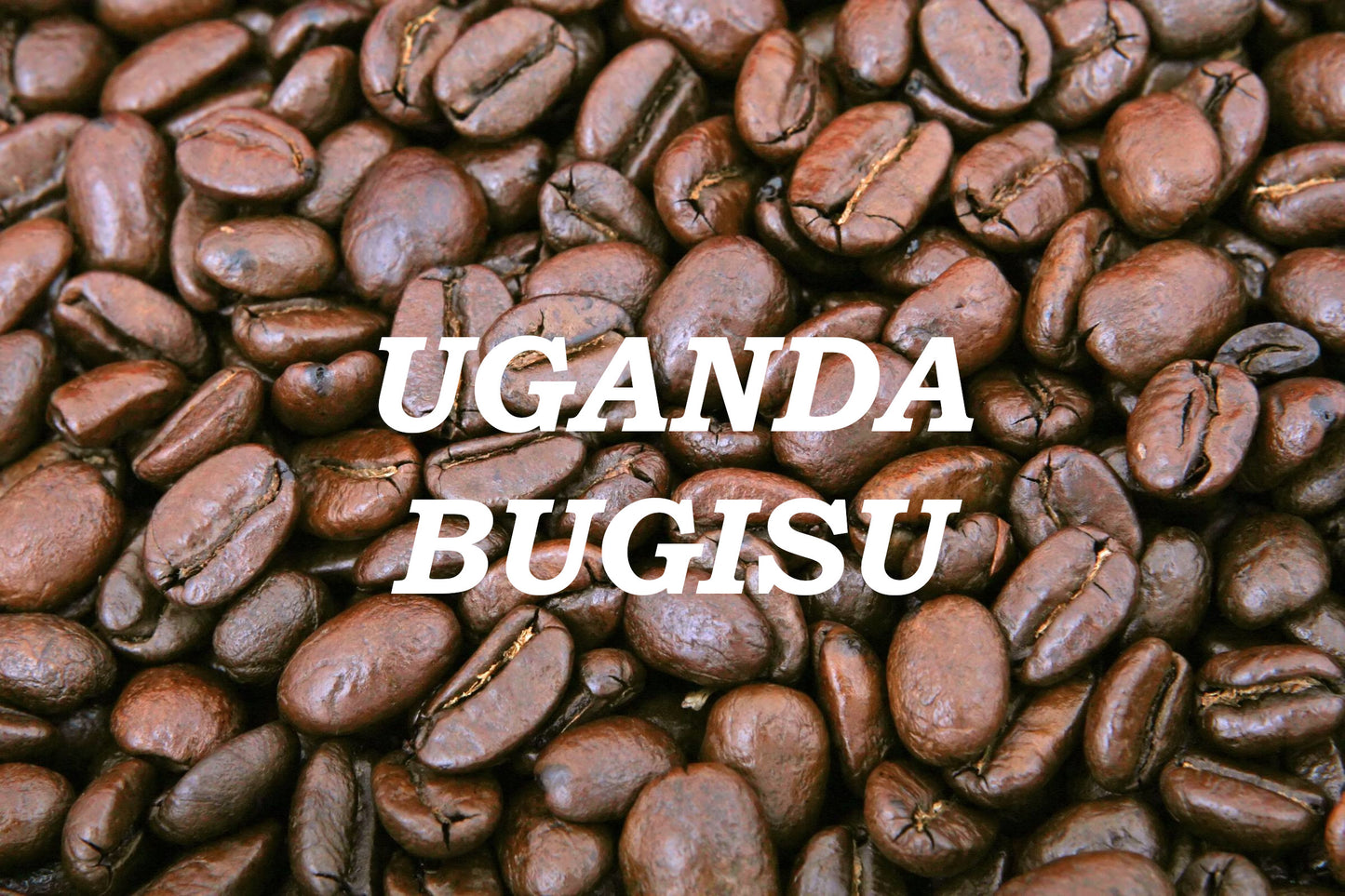 Uganda Bugisu