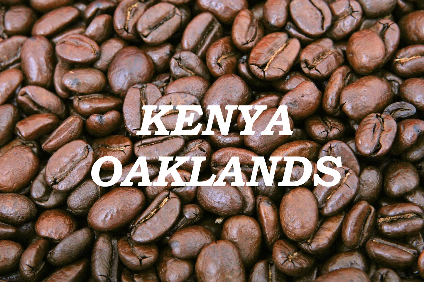 Kenya Oaklands